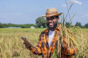Descubra Como O Crédito Agrícola Pode Transformar O Planejamento Das Suas Safras - Icontabiliza