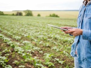 Fluxo De Caixa No Agronegócio - Icontabiliza