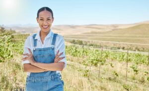 Linha De Crédito Rural - Icontabiliza